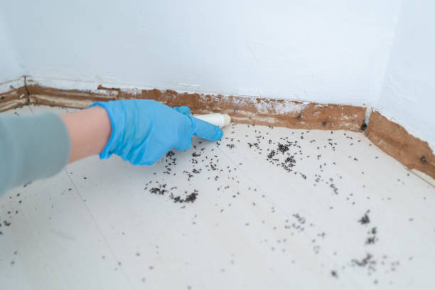 Best Pest Control for Multi-Family Homes  in USA